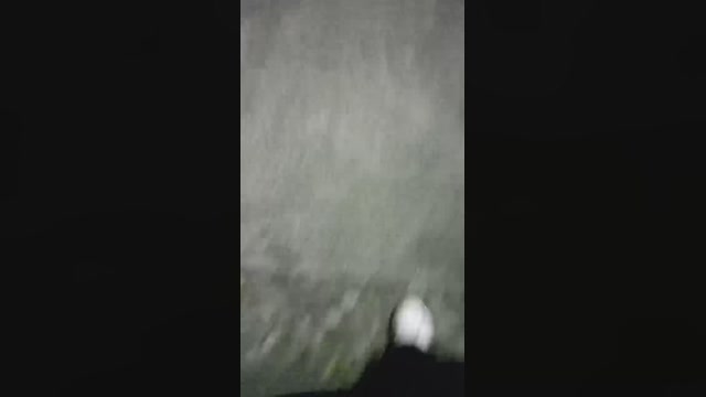 bastianboyfun  17-04-2023 Recorded Video jerkoff