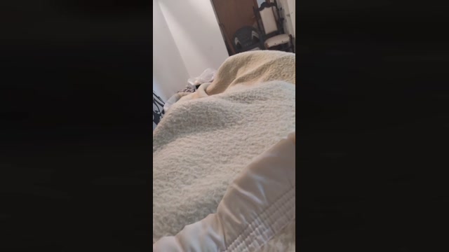 exquisitepanty2