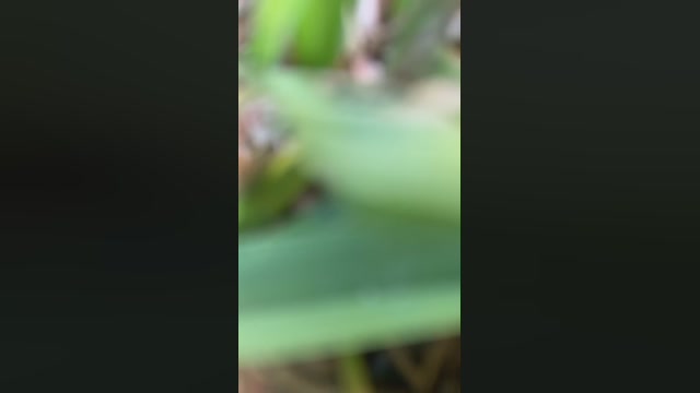 Dulcelocura33  19-04-2023 Recorded Video yummy