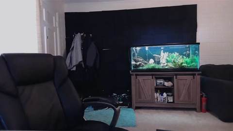 alphanuts101  18-04-2023 video amateur