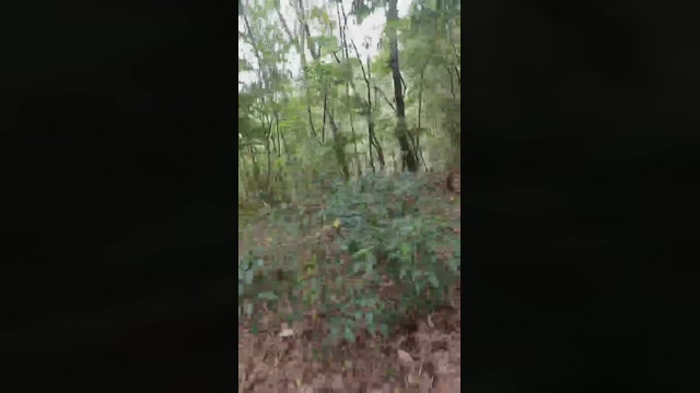 pikatomo  18-04-2023 Recorded Video analtoy