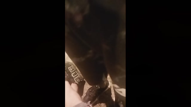 santiagosexo4  18-04-2023 Recorded Video orgasm