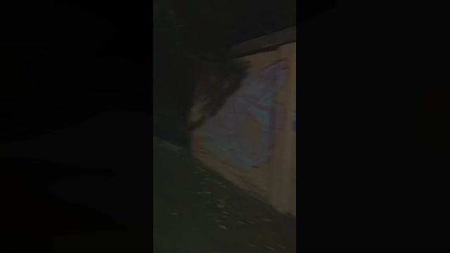 Laoquedad  22-04-2023 Recorded Video juicy