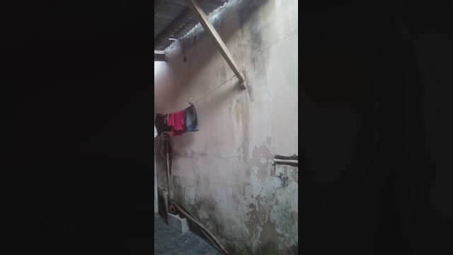 Affonso171  23-04-2023 Recorded Video deepthroat