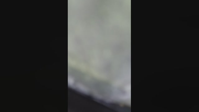 Doperman  28-04-2023 Recorded Video Ass