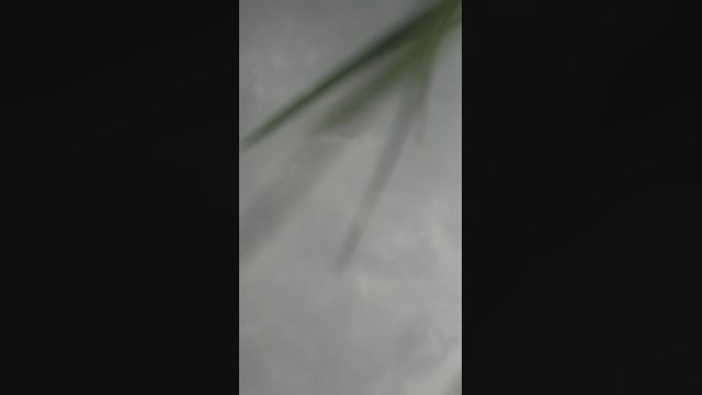 Austin_Mm  28-04-2023 Recorded Video orgasm