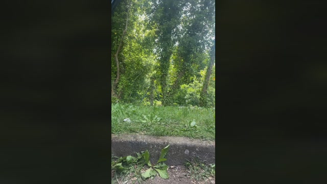JOREDD  29-04-2023 Recorded Video bj-dildo