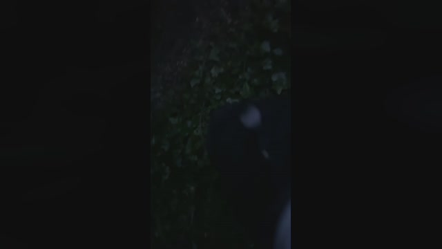 JOREDD  28-04-2023 Recorded Video prettyface