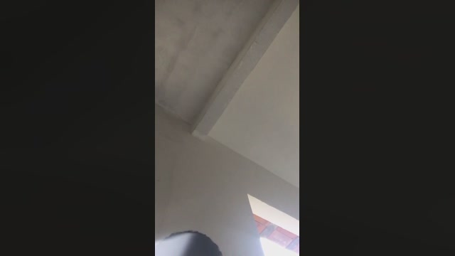 Meninoexib  01-05-2023 Recorded Video big