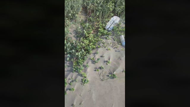 tarcton78  01-05-2023 Recorded Video Webcam