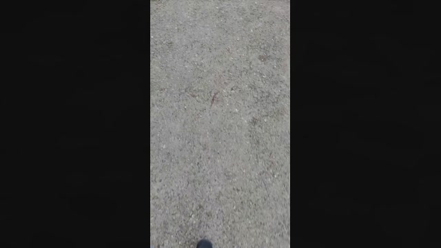 RabakoSpain  03-05-2023 Recorded Video handsome