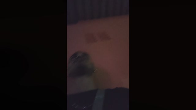 MulekeCarioca  06-05-2023 Recorded Video naked