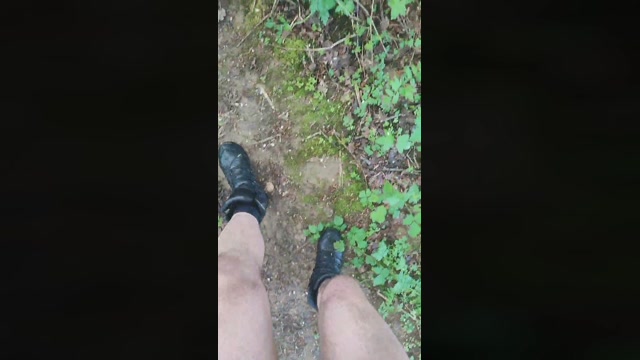 publicexib1  08-05-2023 Recorded Video bicurious