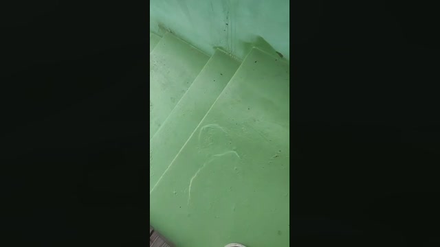 guysex_hot  08-05-2023 Recorded Video gag