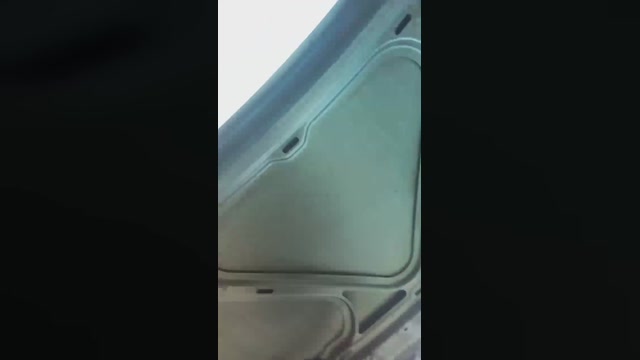 lobocam33