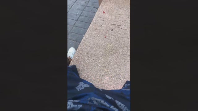 Dapehur  10-05-2023 Recorded Video big