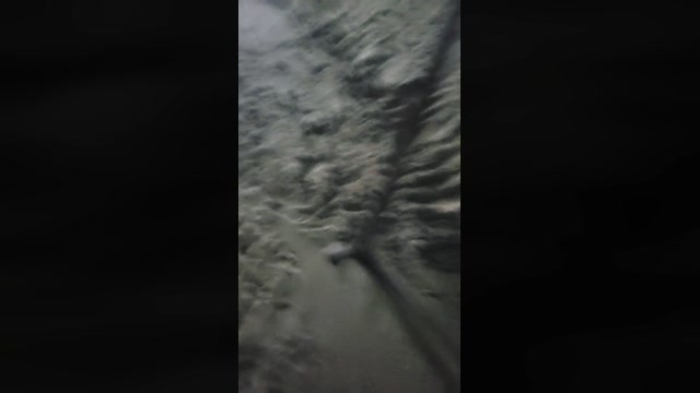 YANK22  10-05-2023 Recorded Video blowjob