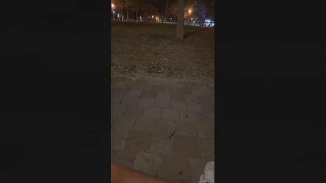 Foxfox07  12-05-2023 Recorded Video suck