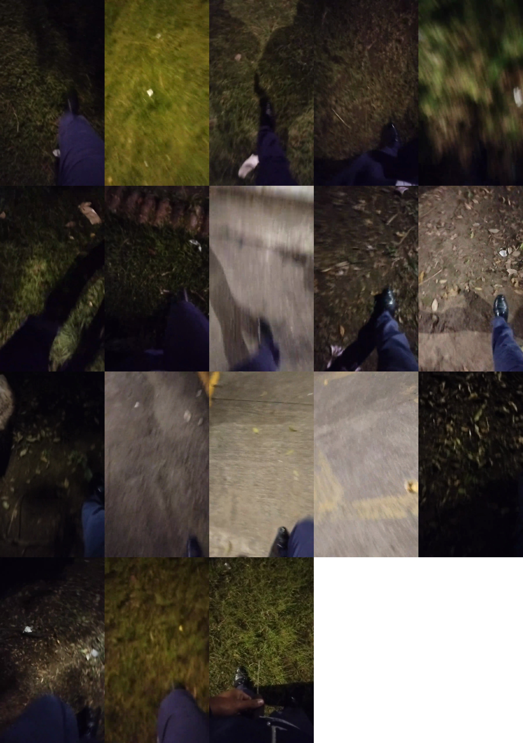 cobradorchoco55  11-05-2023 Recorded Video Recorded