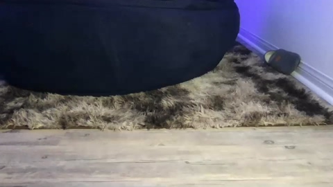 ironbutterfly69  12-05-2023 video nude