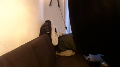 notashy94  12-05-2023 Recorded Video gay