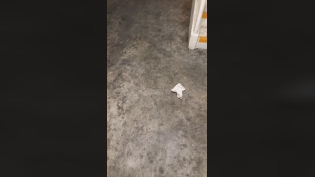 Dapehur  12-05-2023 Recorded Video ass