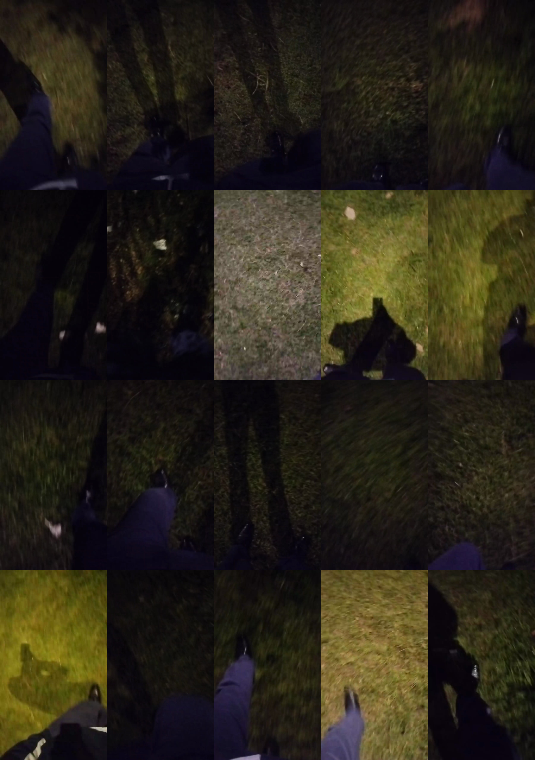 cobradorchoco55  12-05-2023 Recorded Video Video