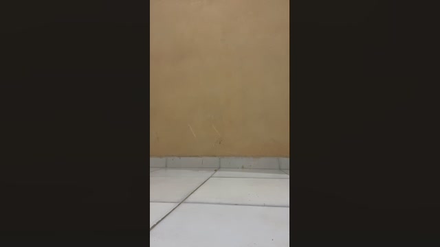 Elsrthompson  14-05-2023 Recorded Video sexykitty