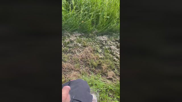 ichEnzian76  14-05-2023 Recorded Video big