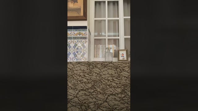 peca9  15-05-2023 Recorded Video bigass