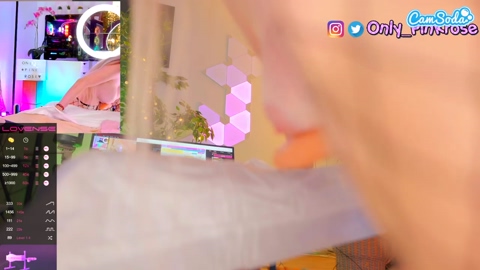pink-rose 14-05-2023 bigtoys CamSoda