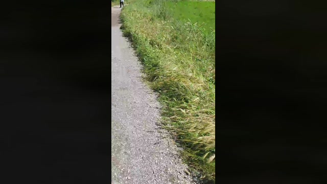 submarine3  15-05-2023 Recorded Video fuckher