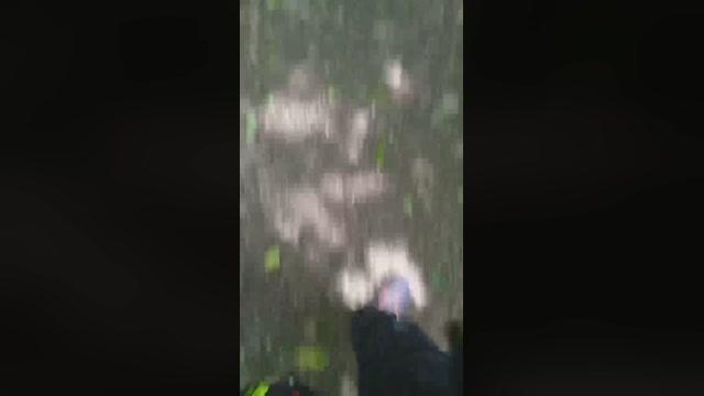 eric293_xxx  16-05-2023 Recorded Video dirty