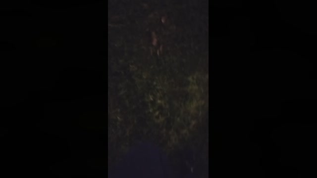 Chocolatespzn2  18-05-2023 Recorded Video bj-dildo