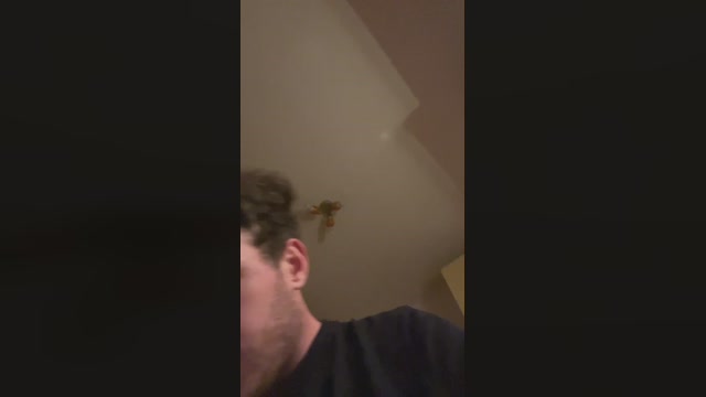 sesse4  18-05-2023 Recorded Video natural