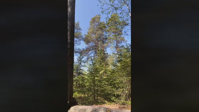 Asenov  20-05-2023 Recorded Video strip