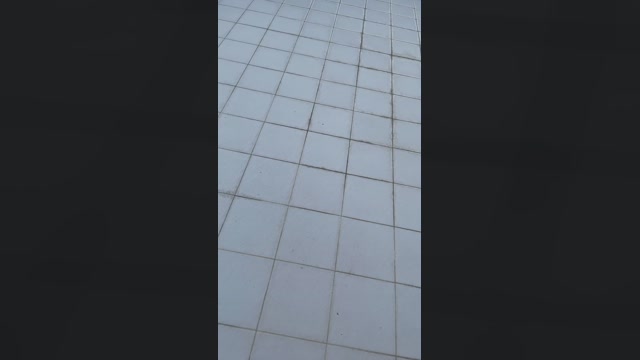 Foxfox07  20-05-2023 Recorded Video bigdick