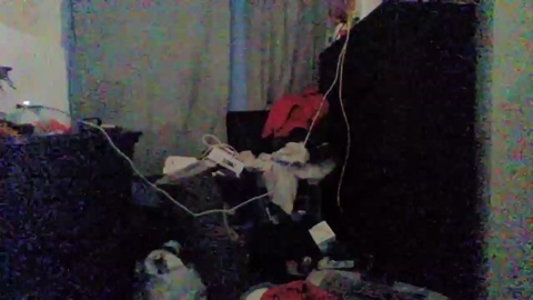 austinisking1916  21-05-2023 video handsome