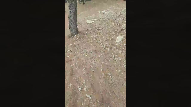 6Q87  22-05-2023 Recorded Video jerkoff