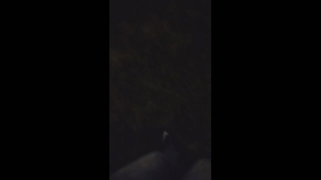 Chocolatespzn2  21-05-2023 Recorded Video Porn