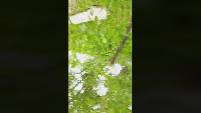 pegg_cunilingus  23-05-2023