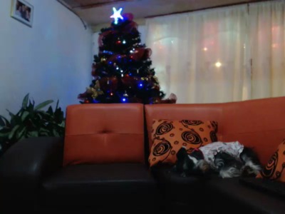 pathrickhott 29/12/2016 Chaturbate