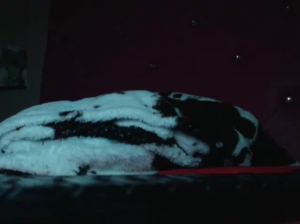 scarlett19x  24-05-2018 Recorded Cam