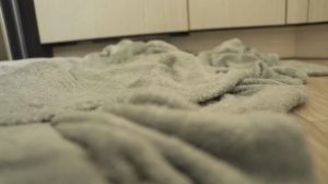 little_mystery  29-05-2018 Recorded Cam