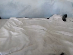 s3xymama  16-06-2018 Recorded Webcam