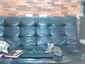 laupalacio  17-06-2018 Recorded Free