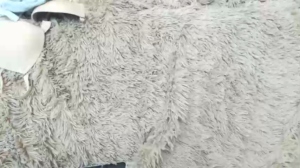priscillamoon  17-06-2018 Recorded Nude