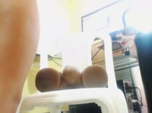 deligthfulv2  23-06-2018 Recorded Naked