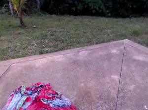 prins_ltna  30-06-2018 Recorded Cam