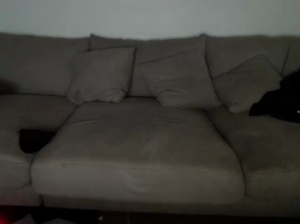 roxando  02-07-2018 Recorded Video